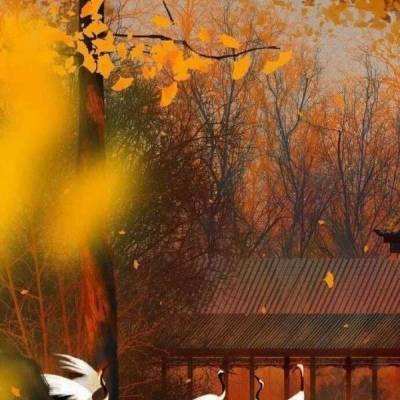 传奇三国九游版下载